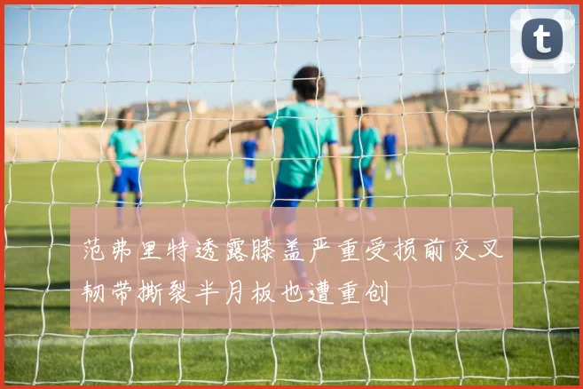 范弗里特透露膝盖严重受损前交叉韧带撕裂半月板也遭重创