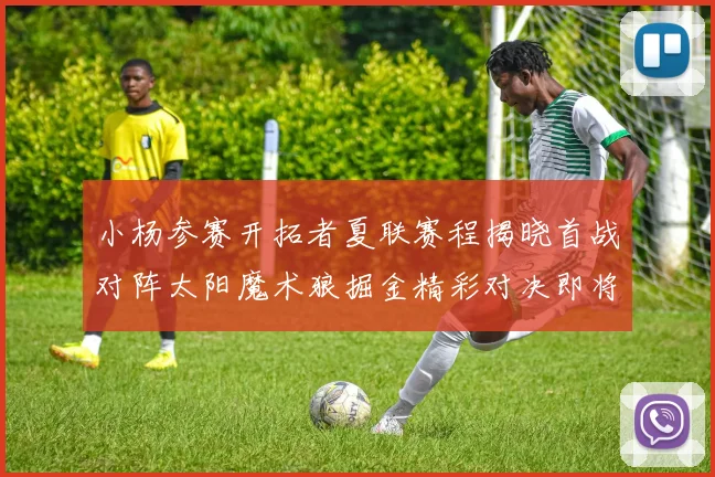 小杨参赛开拓者夏联赛程揭晓首战对阵太阳魔术狼掘金精彩对决即将开启